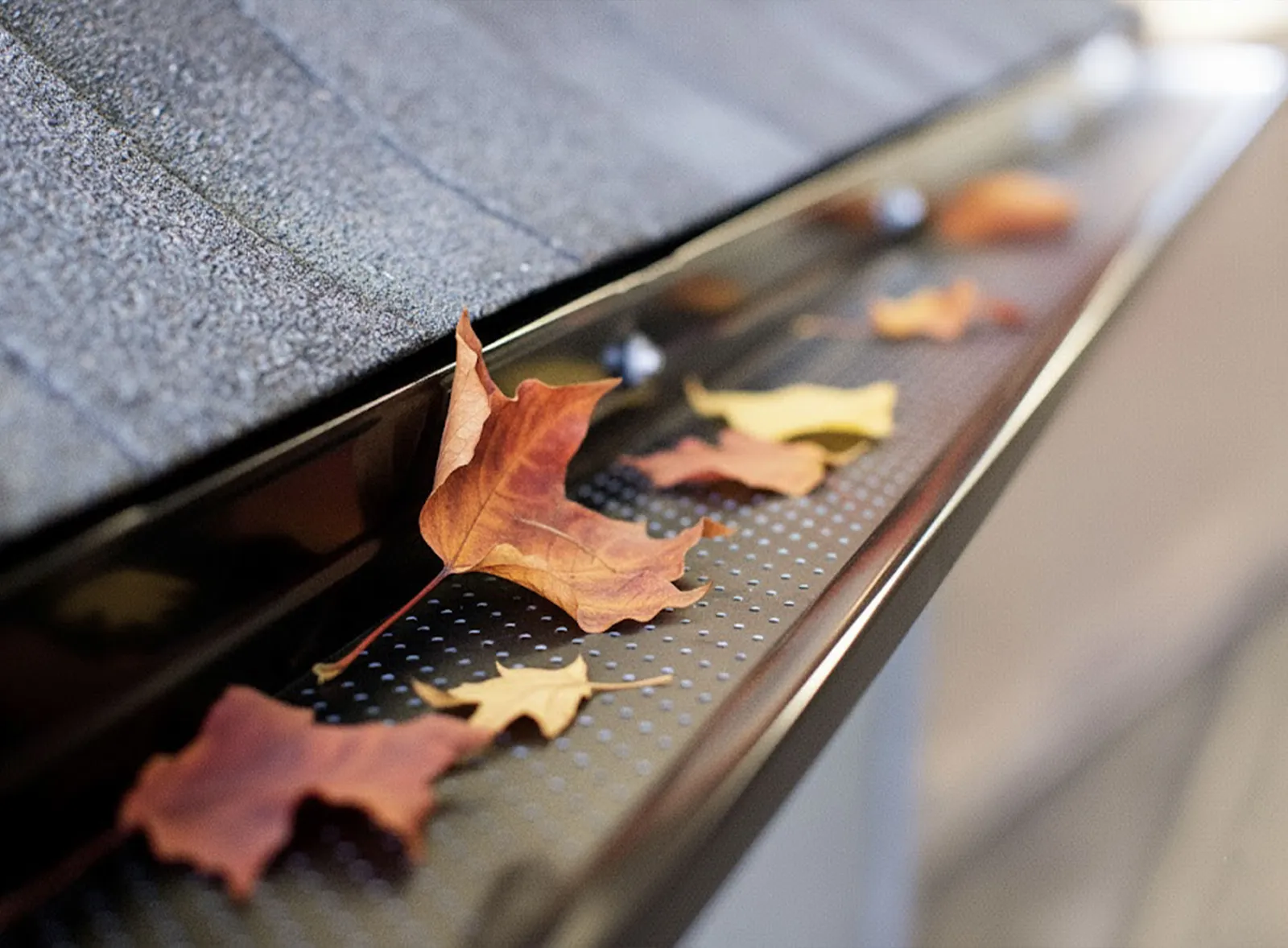Feuilles d'automne retenues à l'extérieur de la gouttière